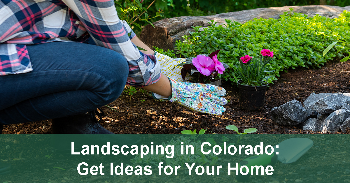 landscaping ideas for Colorado