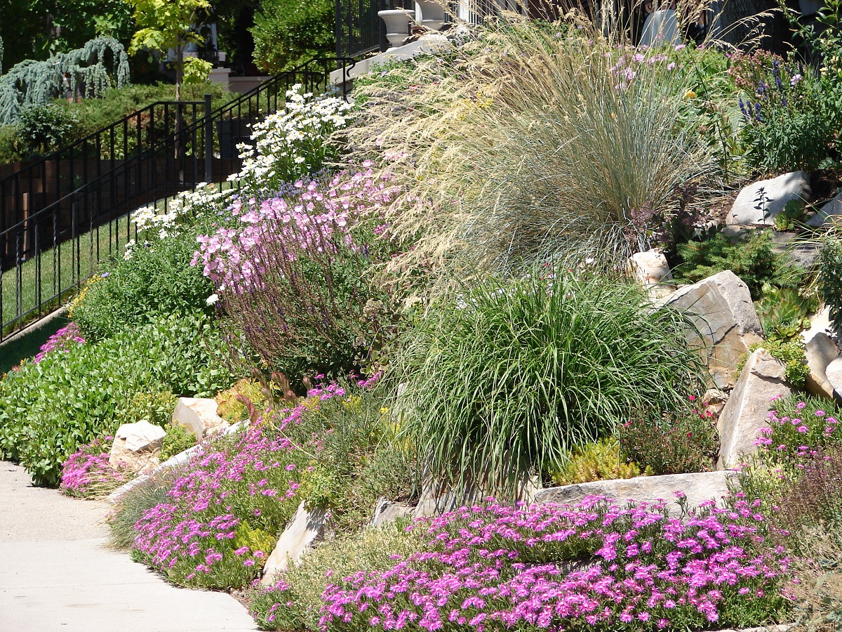 xeriscaping with flowers and grasses in Colorado