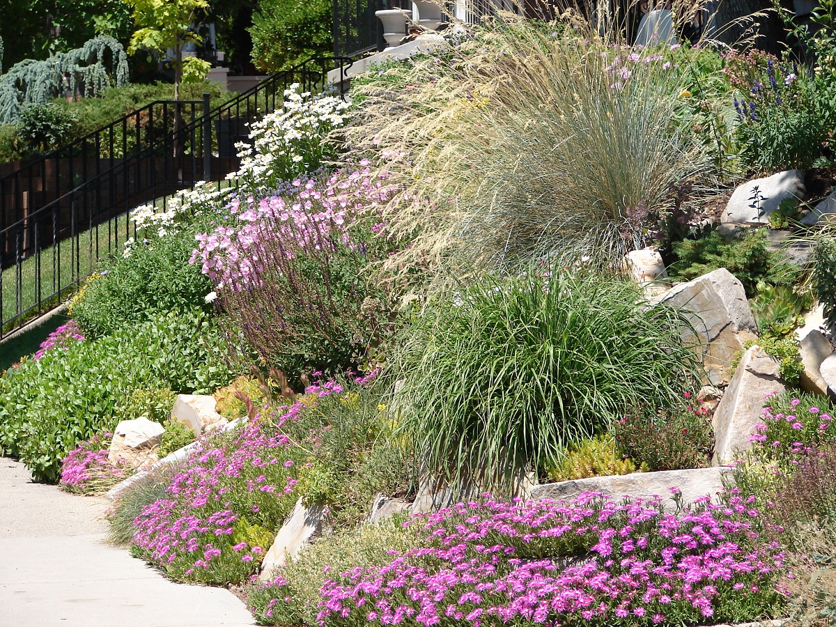 xeriscaping with grasses and flowers in Colorado xeriscaping with flowers and grasses in Colorado