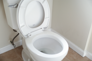 Toilet with lid left open.