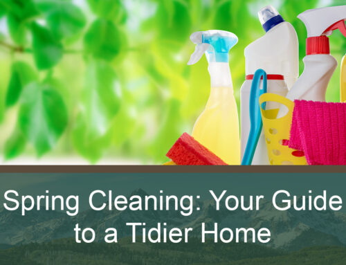 Spring Cleaning: Your Guide to a Tidier Home